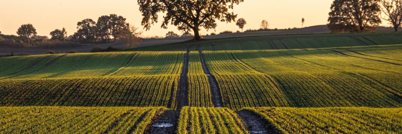 Carbon Farming and Crediting