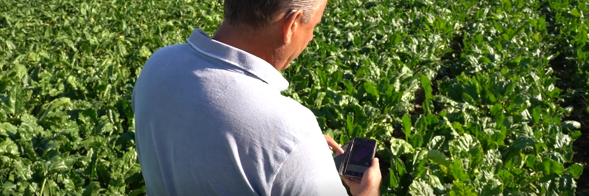 Digital transformation of agriculture